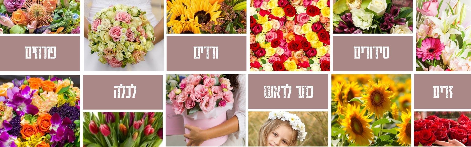 משלוחי פרחים
