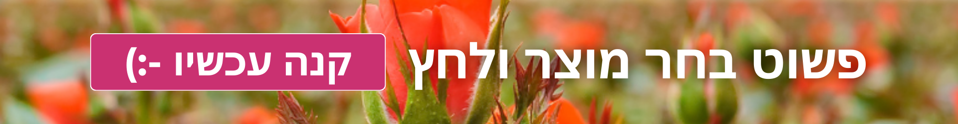 מה תרצה לשלוח היום?