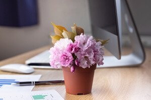 הזמנת פרחים למשרד עורכי דין עושים אצל שושי רגעים של פרחים