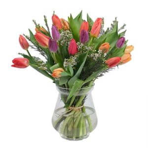 זר טוליפים באגרטל