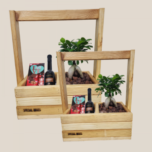 דיל פיקוס ננסי, ליקר ושוקולד בspecial boxes