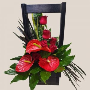 אהבה ב- special boxes