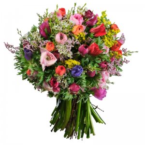 זר חורפי נוריות וכלניות