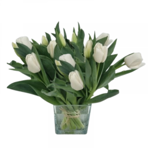  זר 15 טוליפים לבנים באגרטל