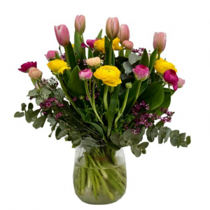 הזר של אופק