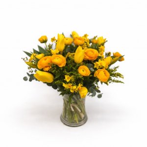 הזר של בית"ר